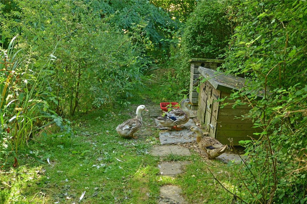 Picture 21