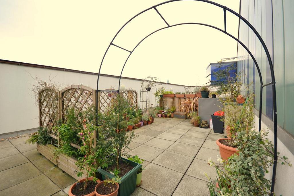 Comunnal garden 2