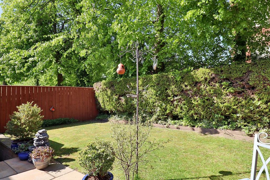 Rear Garden II