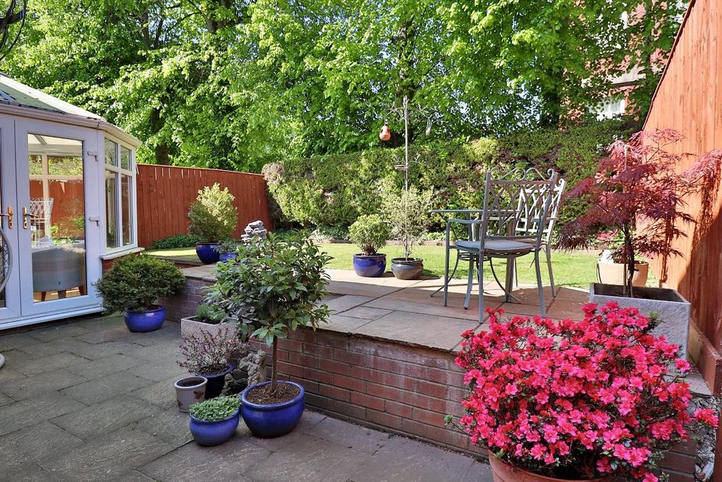Rear Garden III