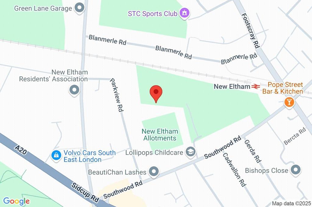 Google Maps Image