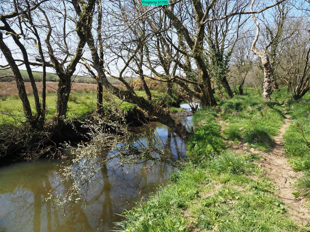 River Torridge, downhill from the lakes and plots