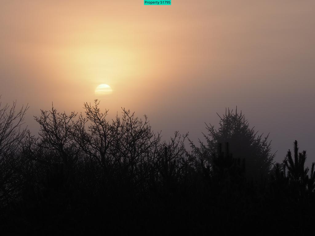 Peaceful dawns