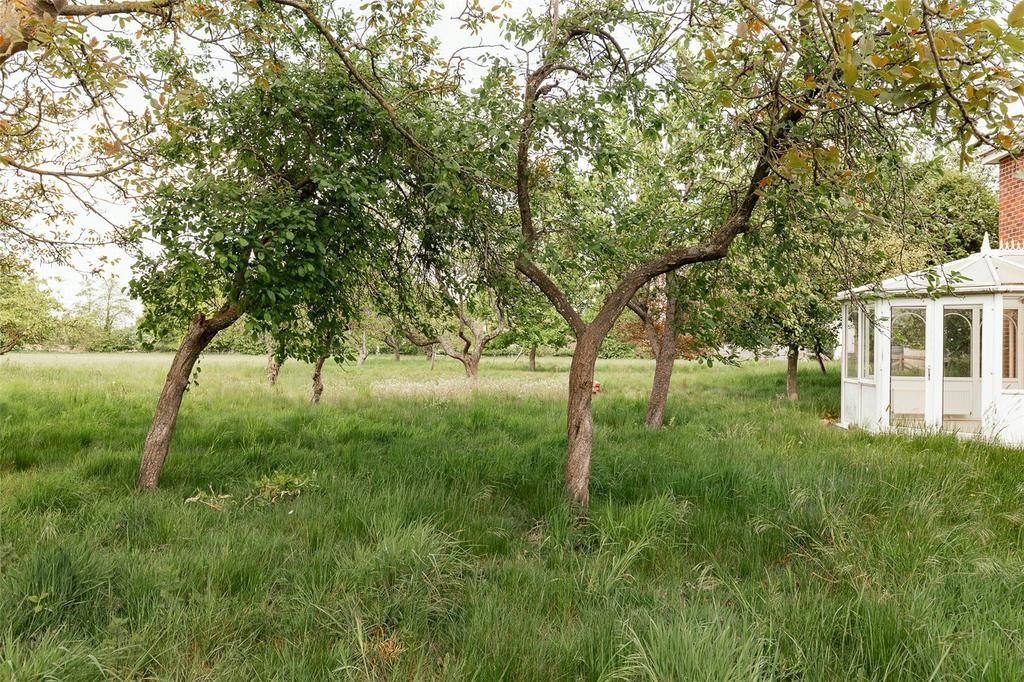 Grounds