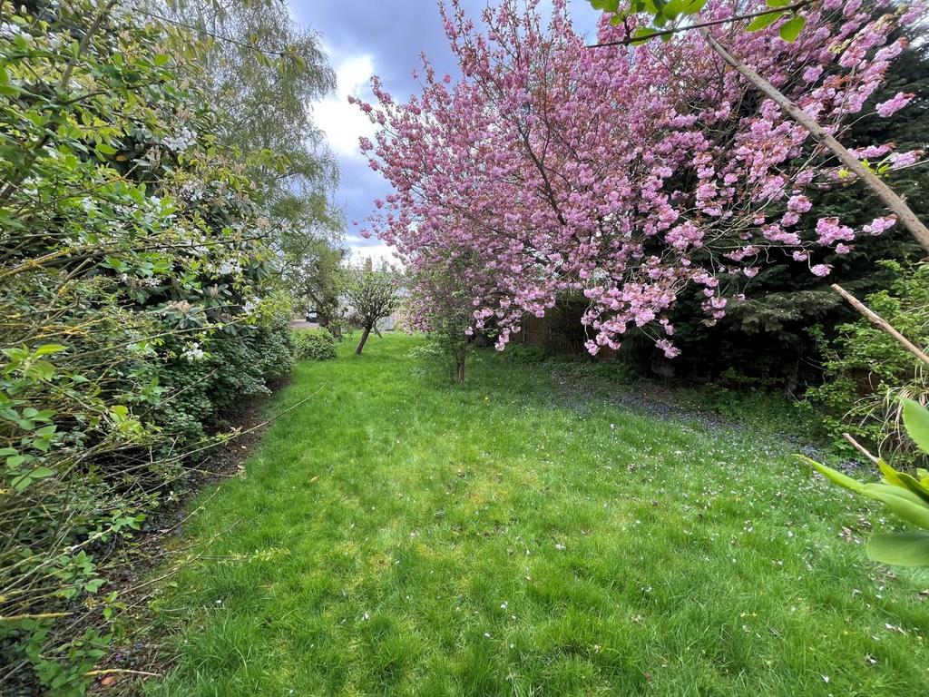 Upper garden.jpg