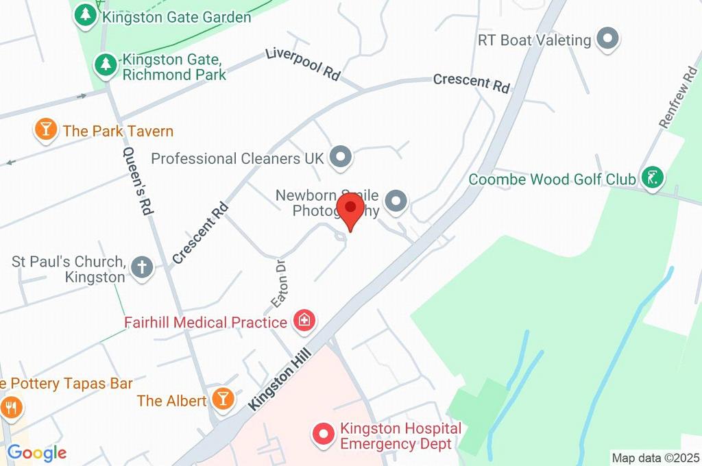Google Maps Image