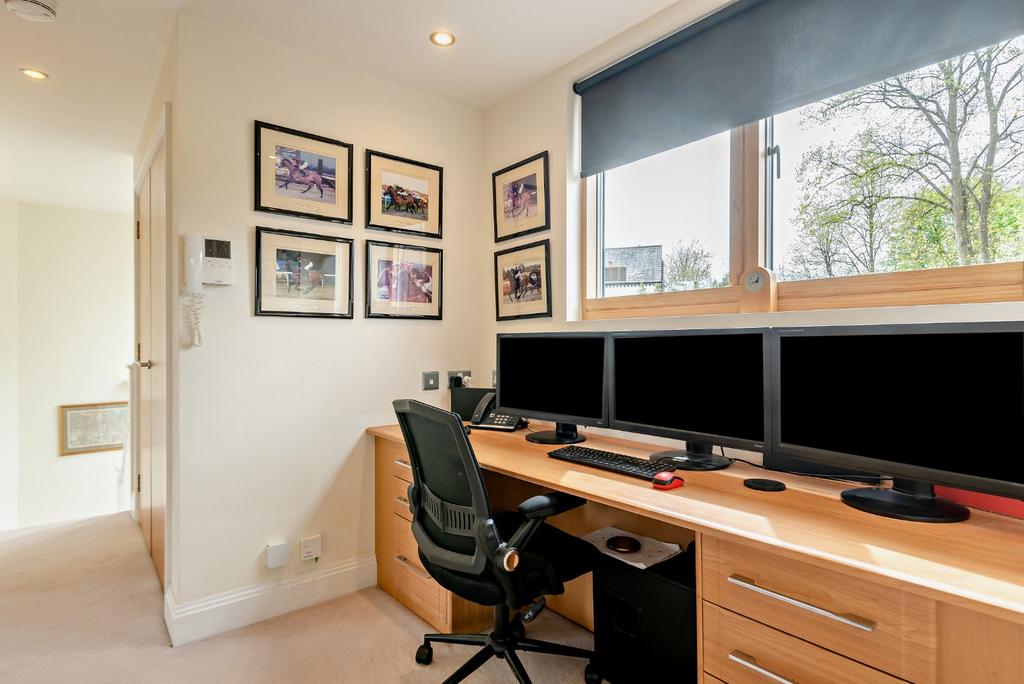 Study Area