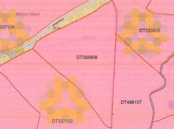 Dt358909.JPG