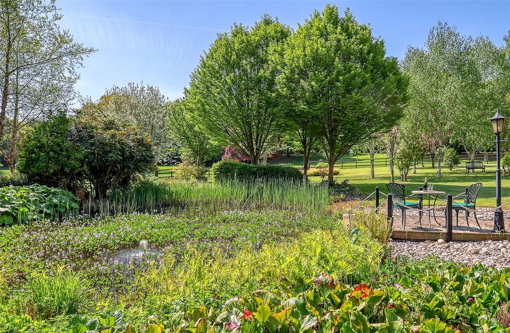 Pond and Garden