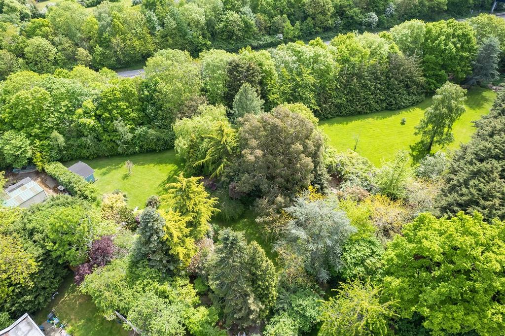 Timbertop aerial  (8).jpg