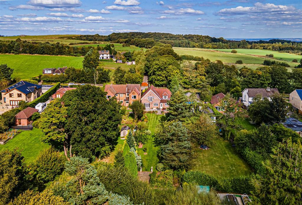 DJI 0566 copy.jpg