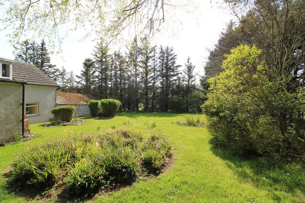 Rear garden (1).jpg