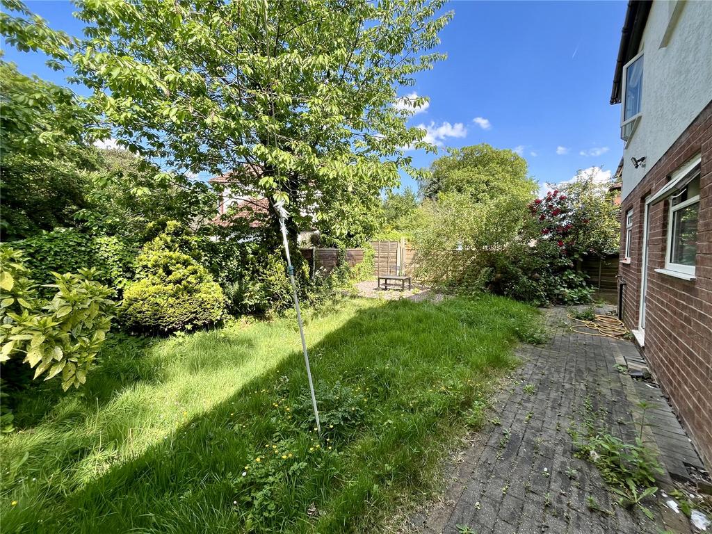 Back Garden