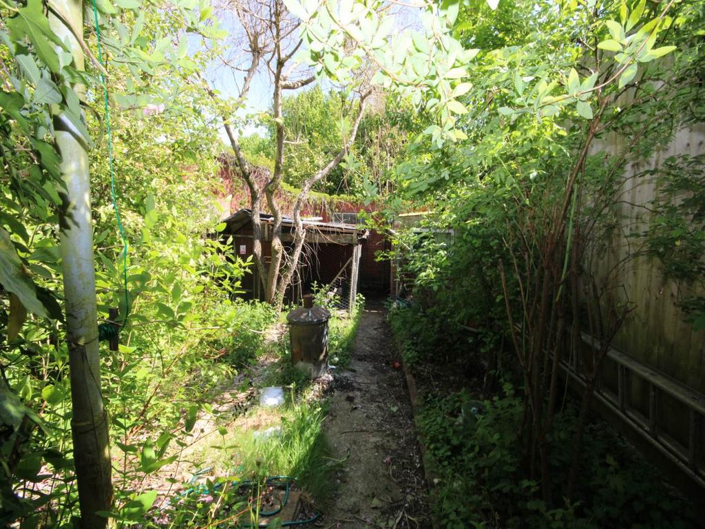 Rear garden (2)