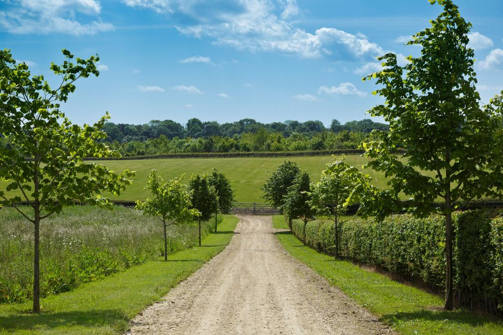 Grounds