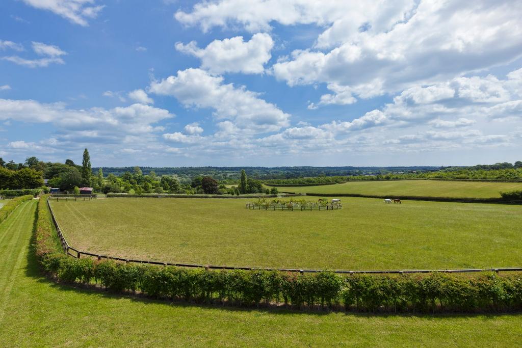 Grazing Land