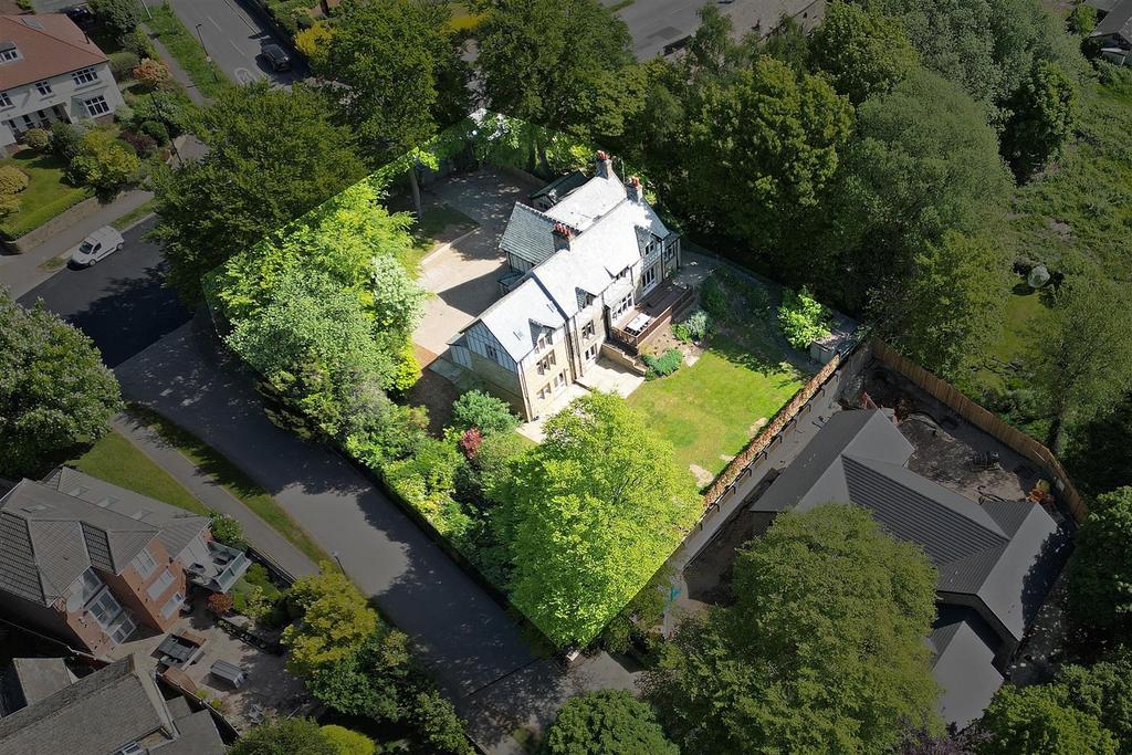Dji 0645.jpg