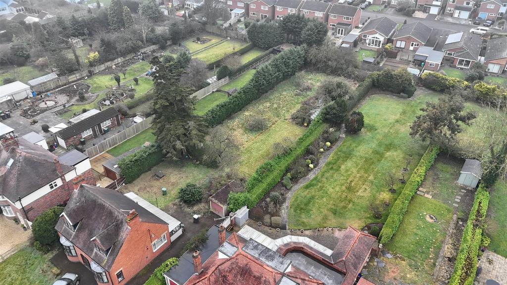 DJI 20240306062136 0428 D.jpeg