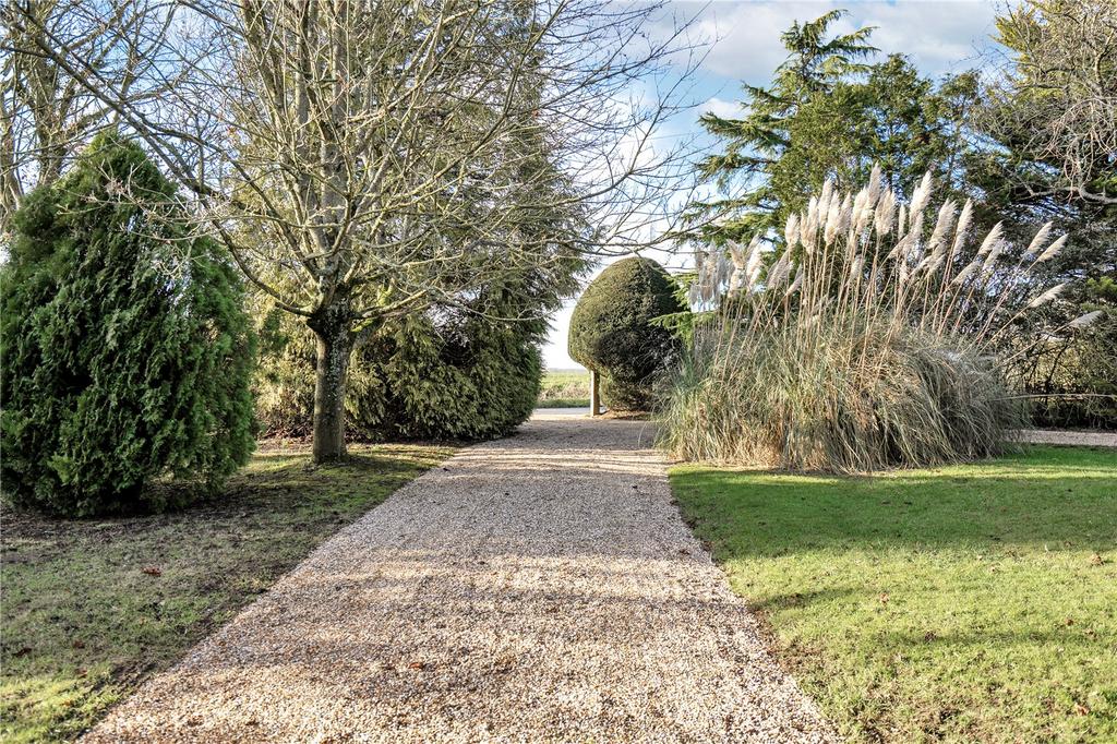 Driveway