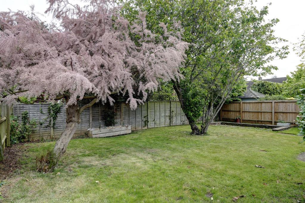 Garden 4.jpg