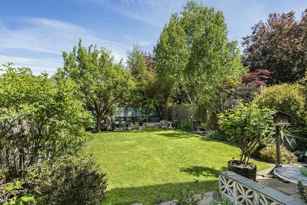 3828799 preview.jpg