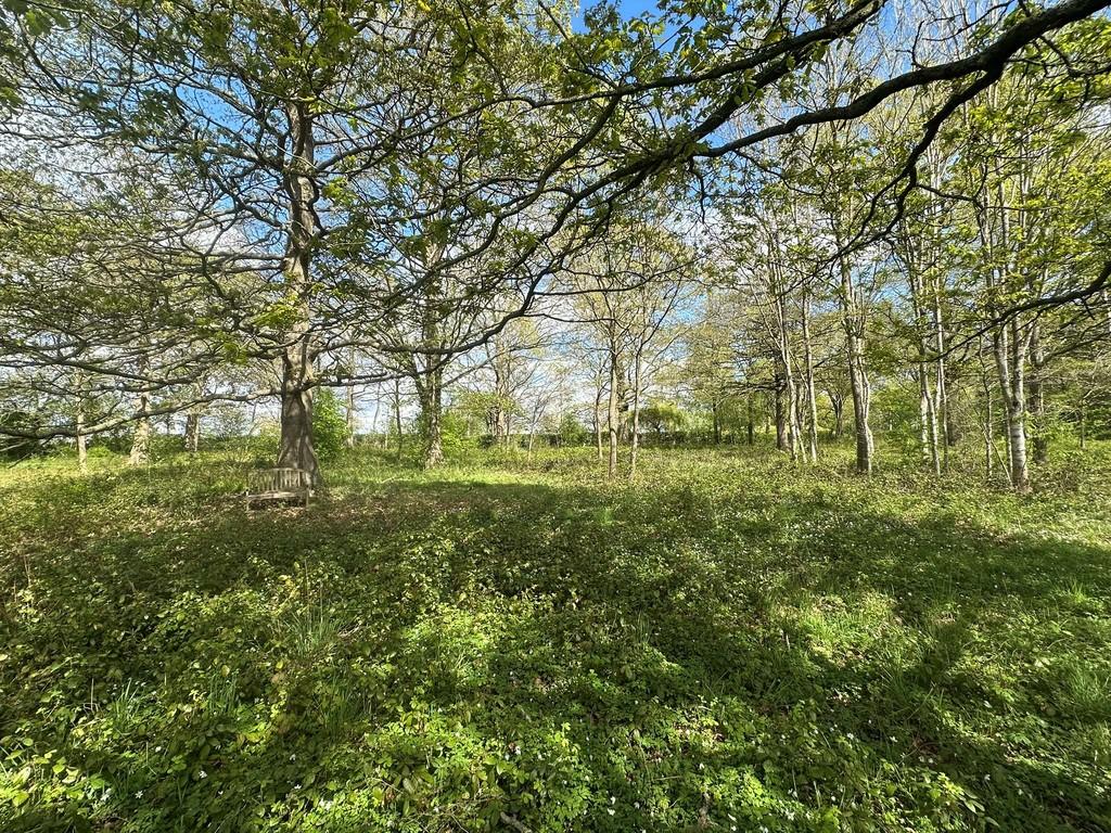 IMG 2035 Web