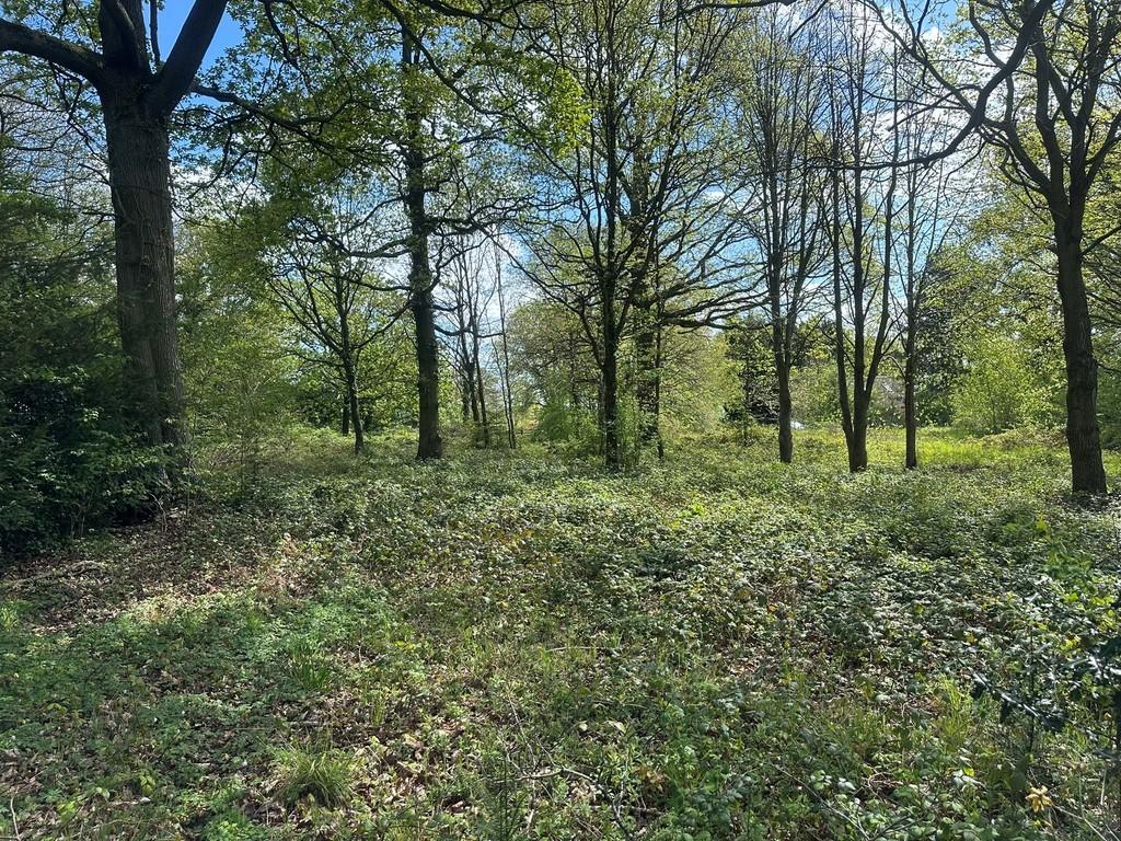 IMG 2012 Web