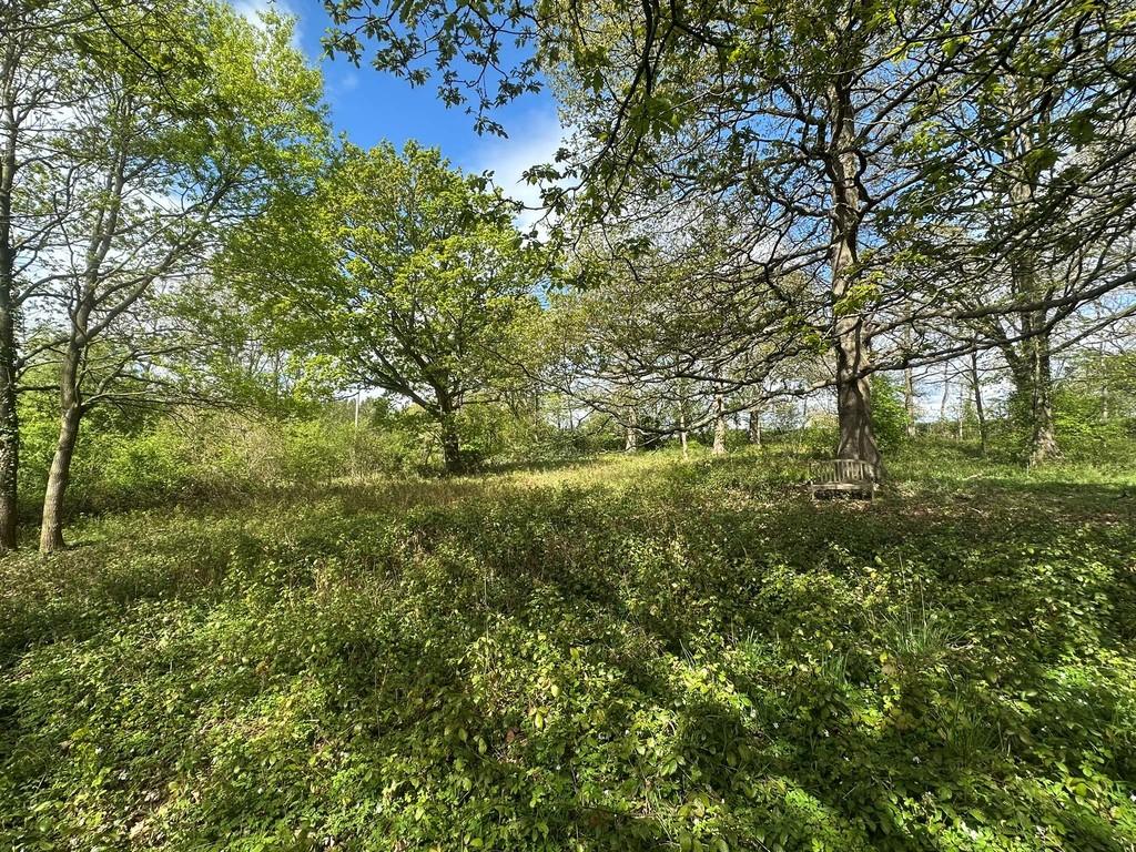 IMG 2037 Web