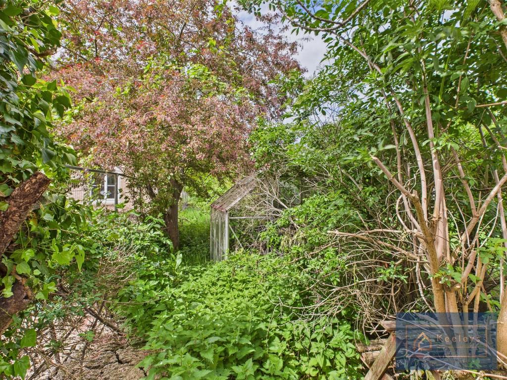 Back garden