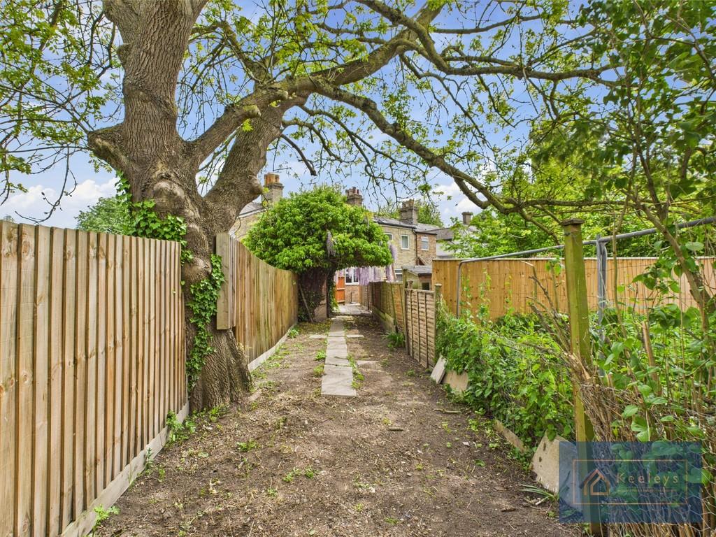 Back garden