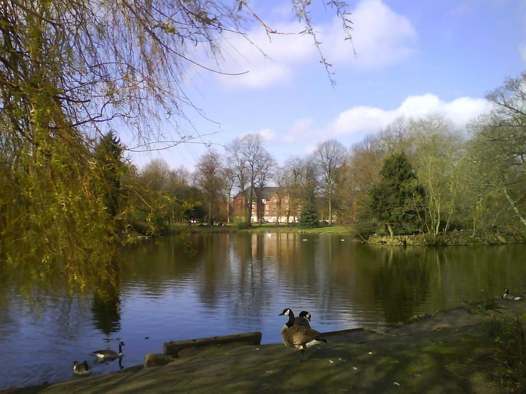 Dsc00021.jpg