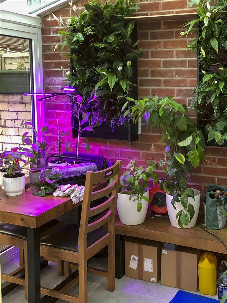 Sun Room