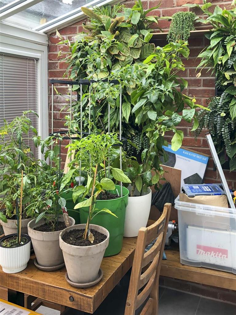 Sun Room Alt