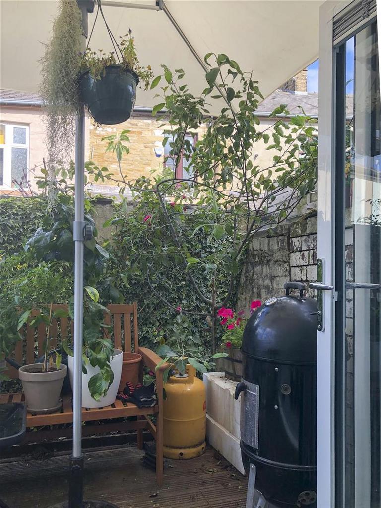 Rear Yard
