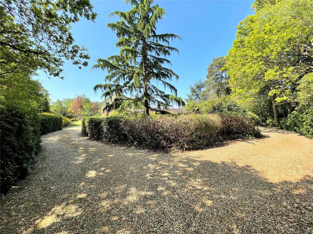 Driveway