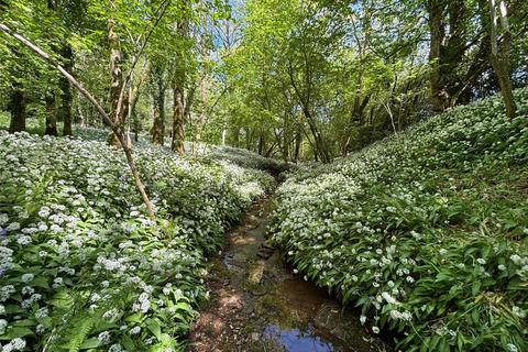 Land for sale, Woodland and Sporting Rights at Eastwood