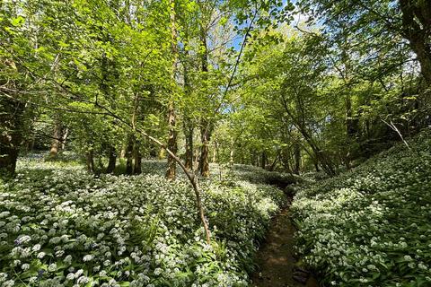Land for sale, Woodland and Sporting Rights at Eastwood
