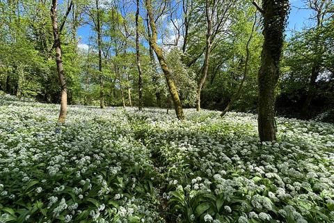 Land for sale, Woodland and Sporting Rights at Eastwood
