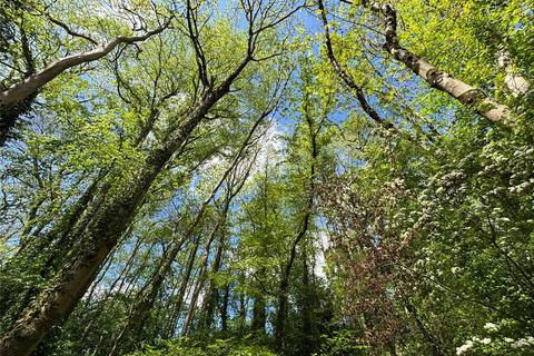 Land for sale, Woodland and Sporting Rights at Eastwood