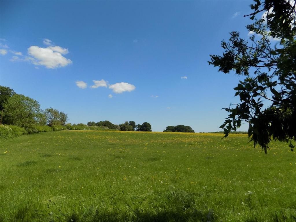 Dscn3595.jpg