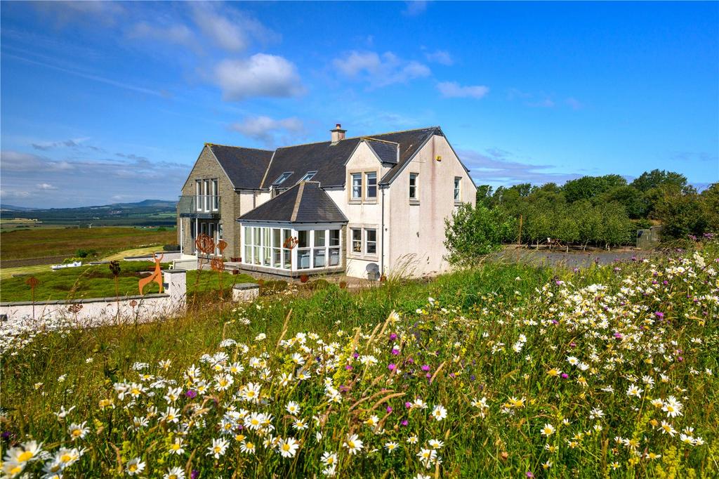 Wildflower Garden