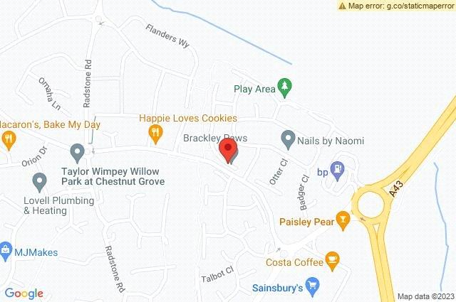 Google Maps Image