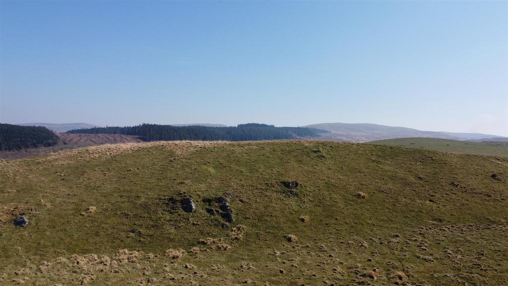 Dji fly 20250410 12012 pm 331 1744287691242 photo 