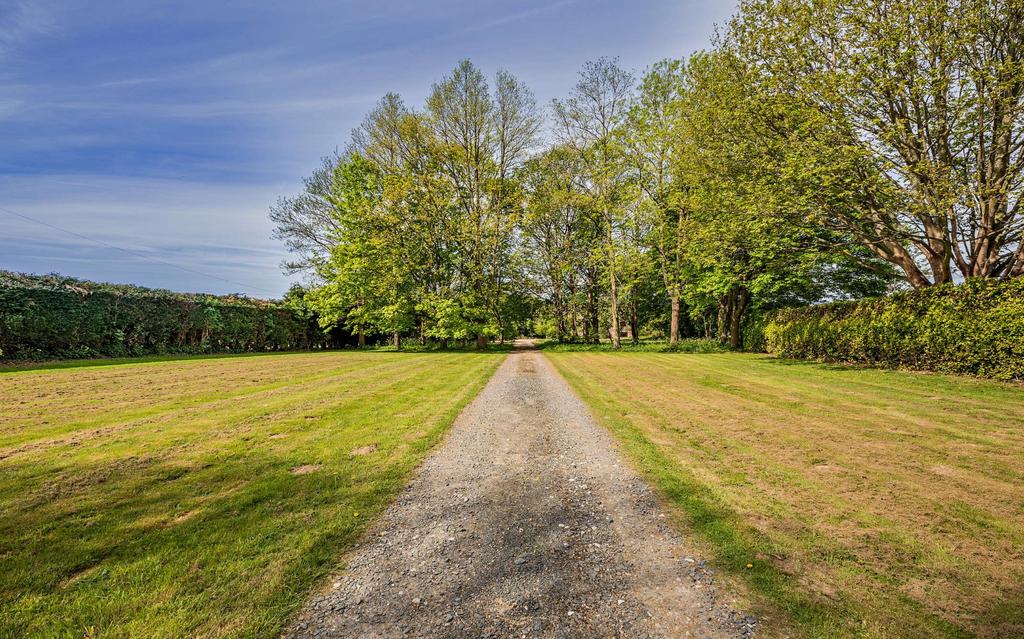 Driveway