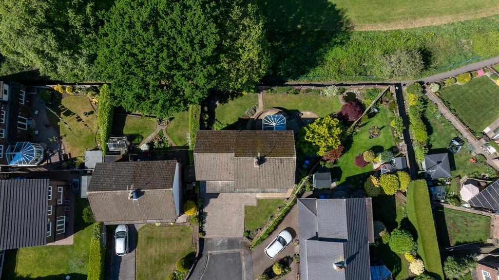 DJI 20250509154425 0345 D.jpg