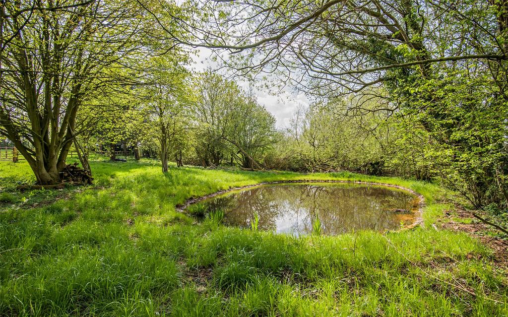 Wildlife Pond