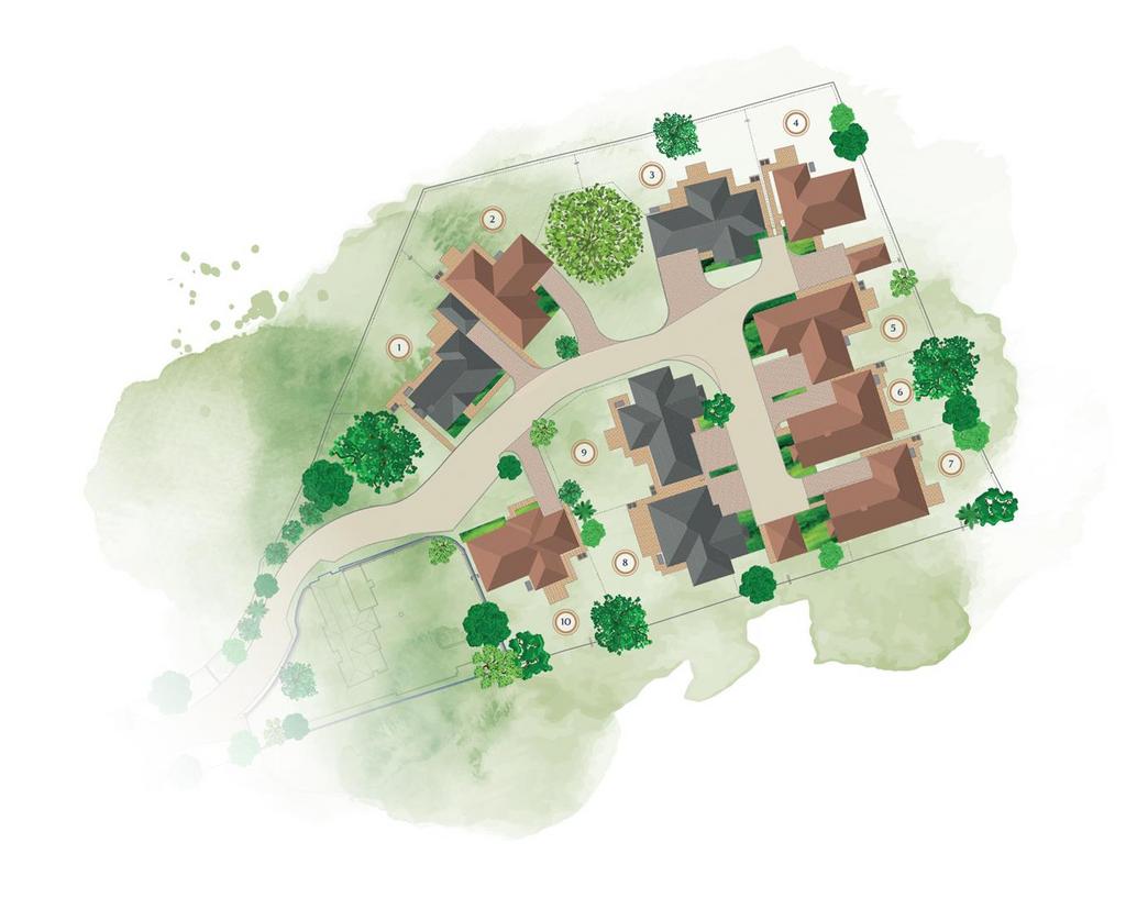 Site Illustration