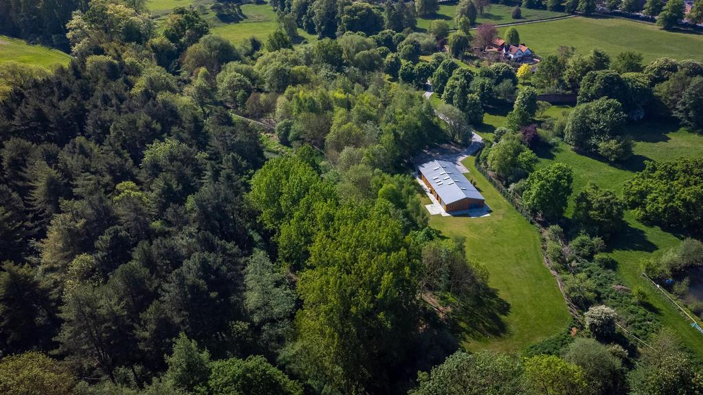 DJI 0080.jpg