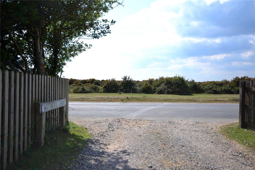 Nearby New Forest