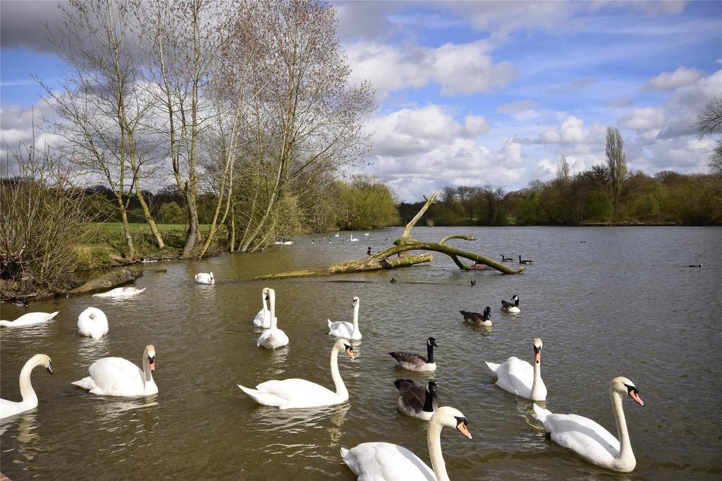 Earlswood Lake